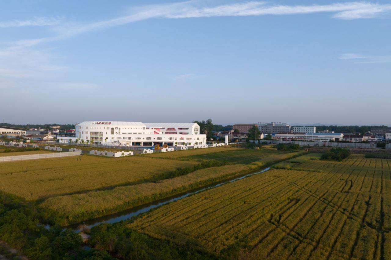 BIM建筑|​安徽·舒城生命力幼儿园 / 迪卡建筑设计中心