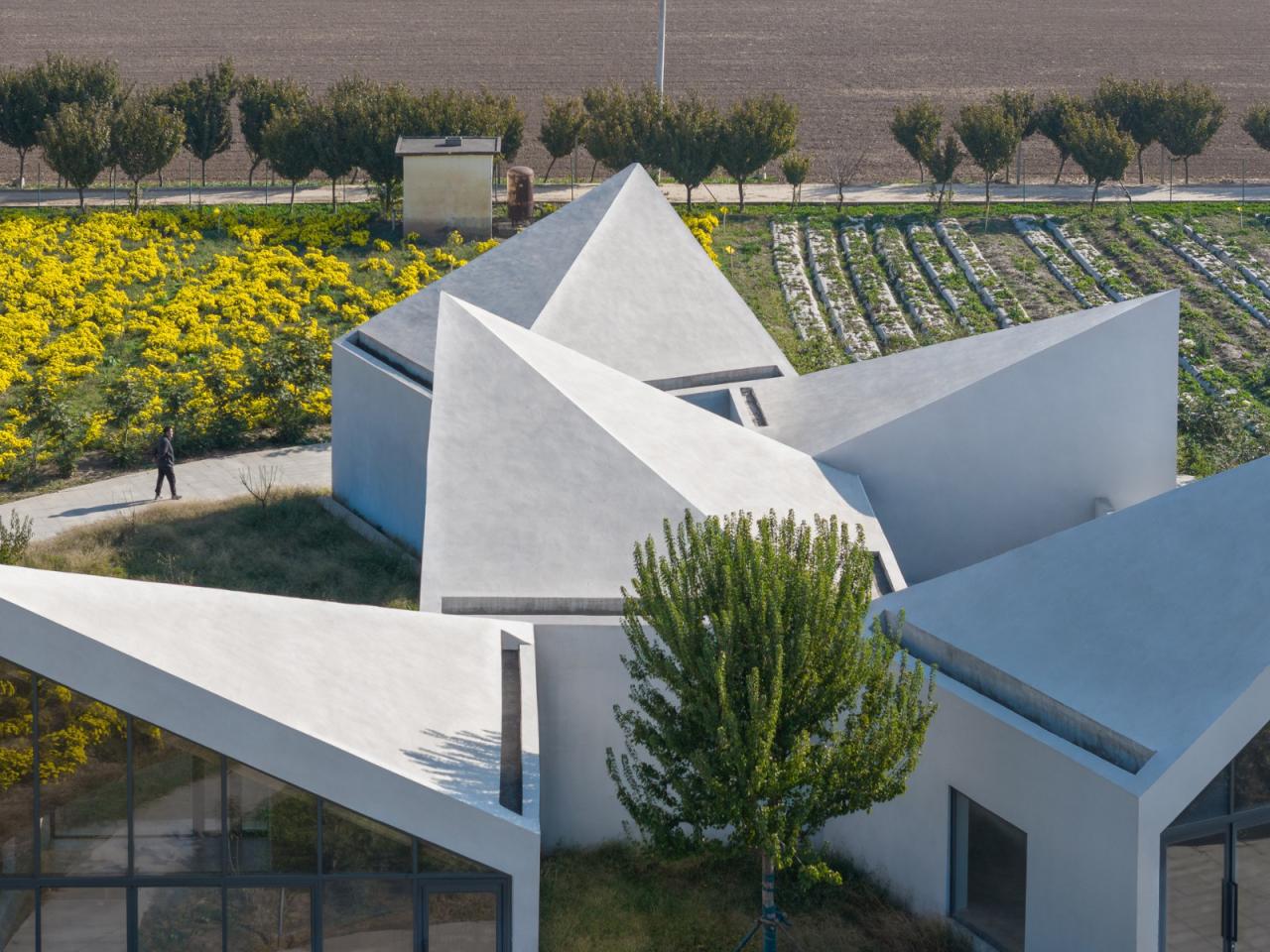 BIM建筑|云台山冰菊花田书馆 / 一树建筑