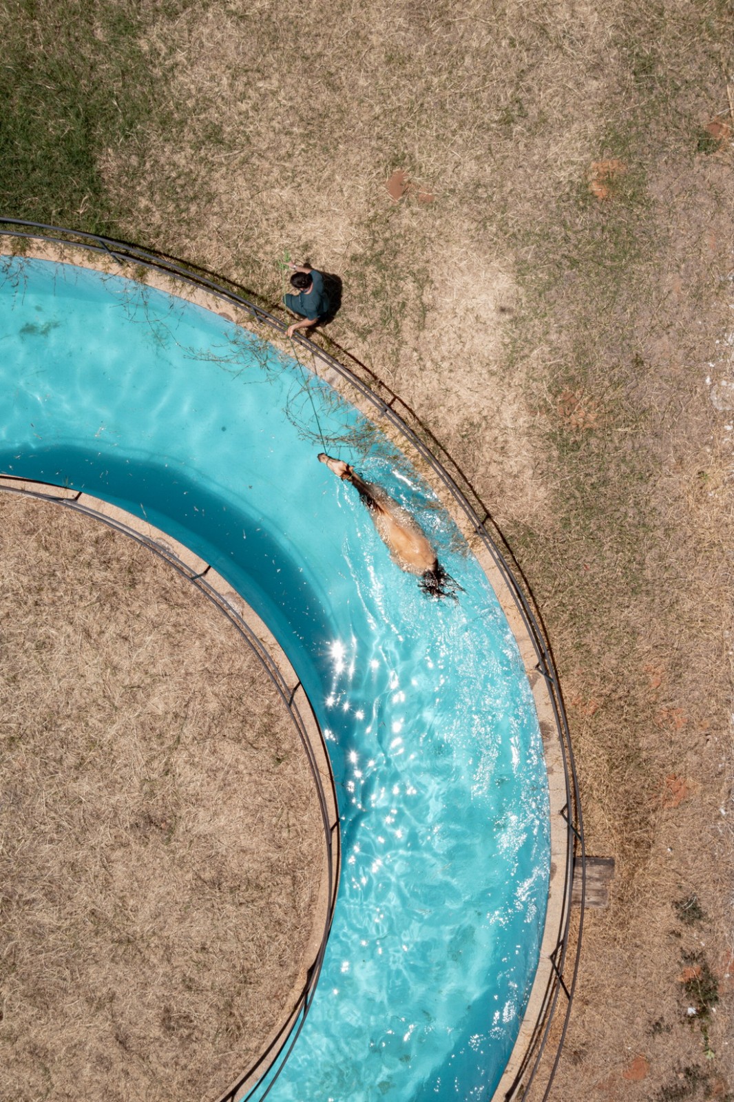 BIM建筑|乌尼埃朗学校兽医院 / Lins Arquitetos Associados