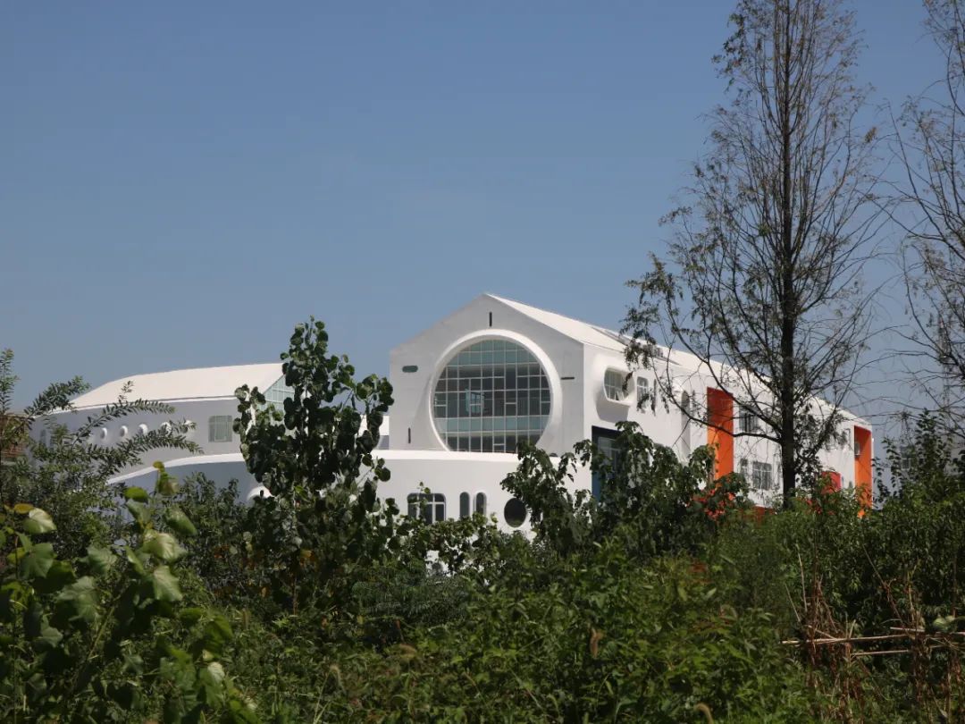 BIM建筑|​安徽·舒城生命力幼儿园 / 迪卡建筑设计中心