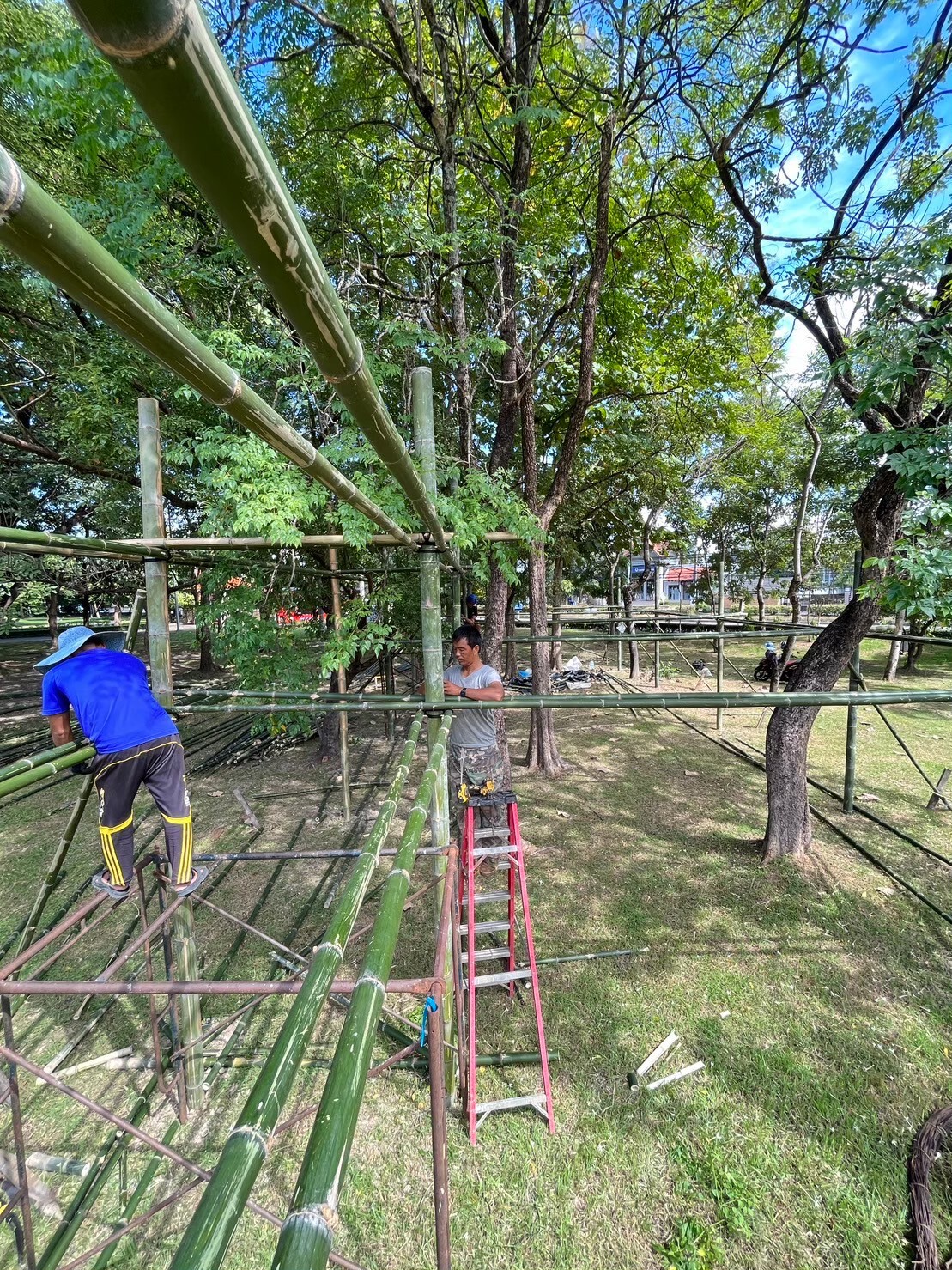 BIM建筑|ASA LANNA 展馆 / Yangnar Studio