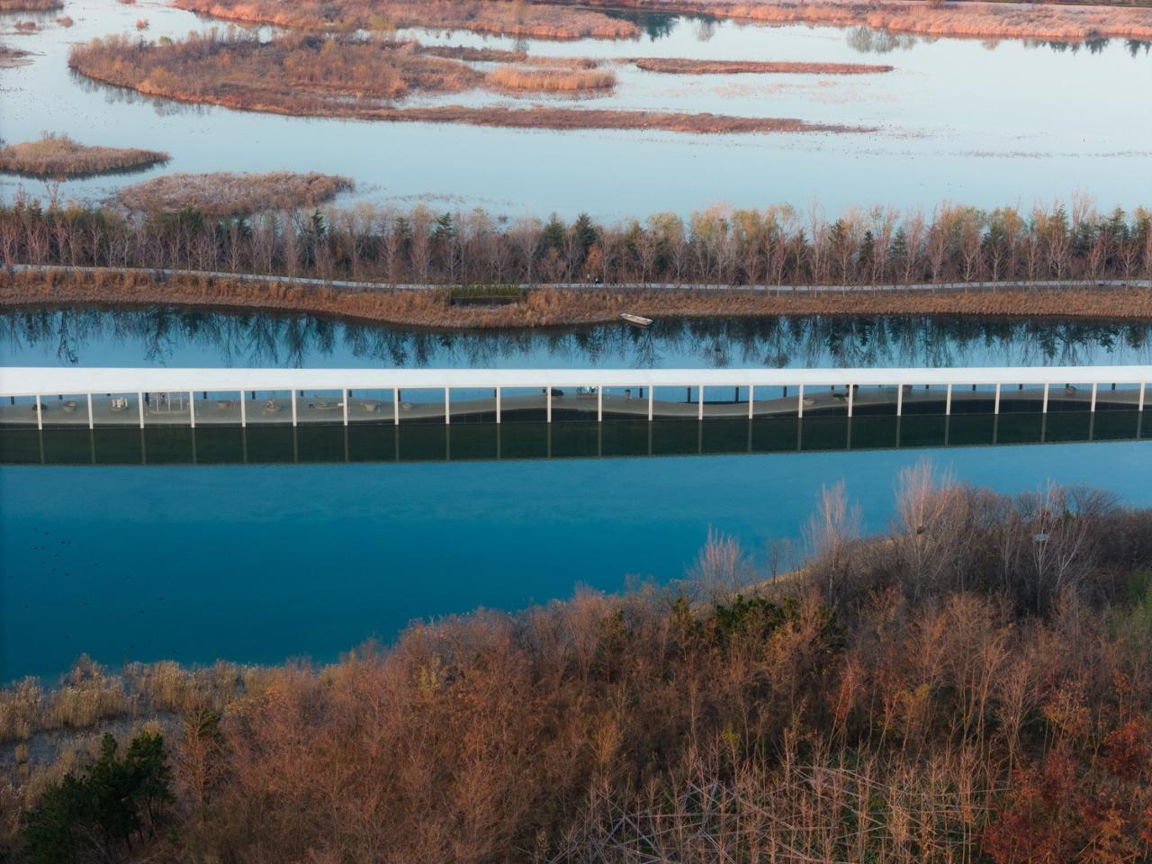 BIM建筑|在水艺术博物馆 / 石上纯也建筑事务所