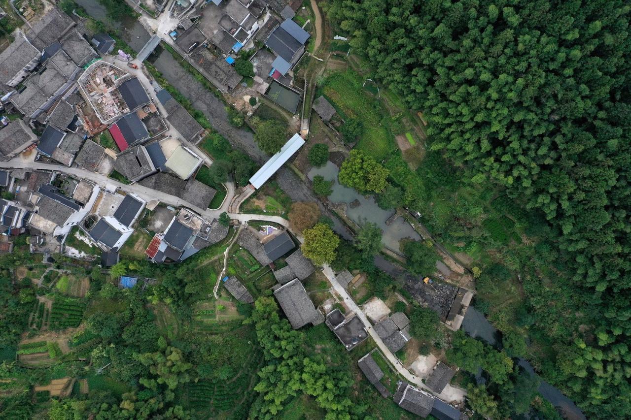 BIM建筑|丰梧季·水渠廊桥 / IARA