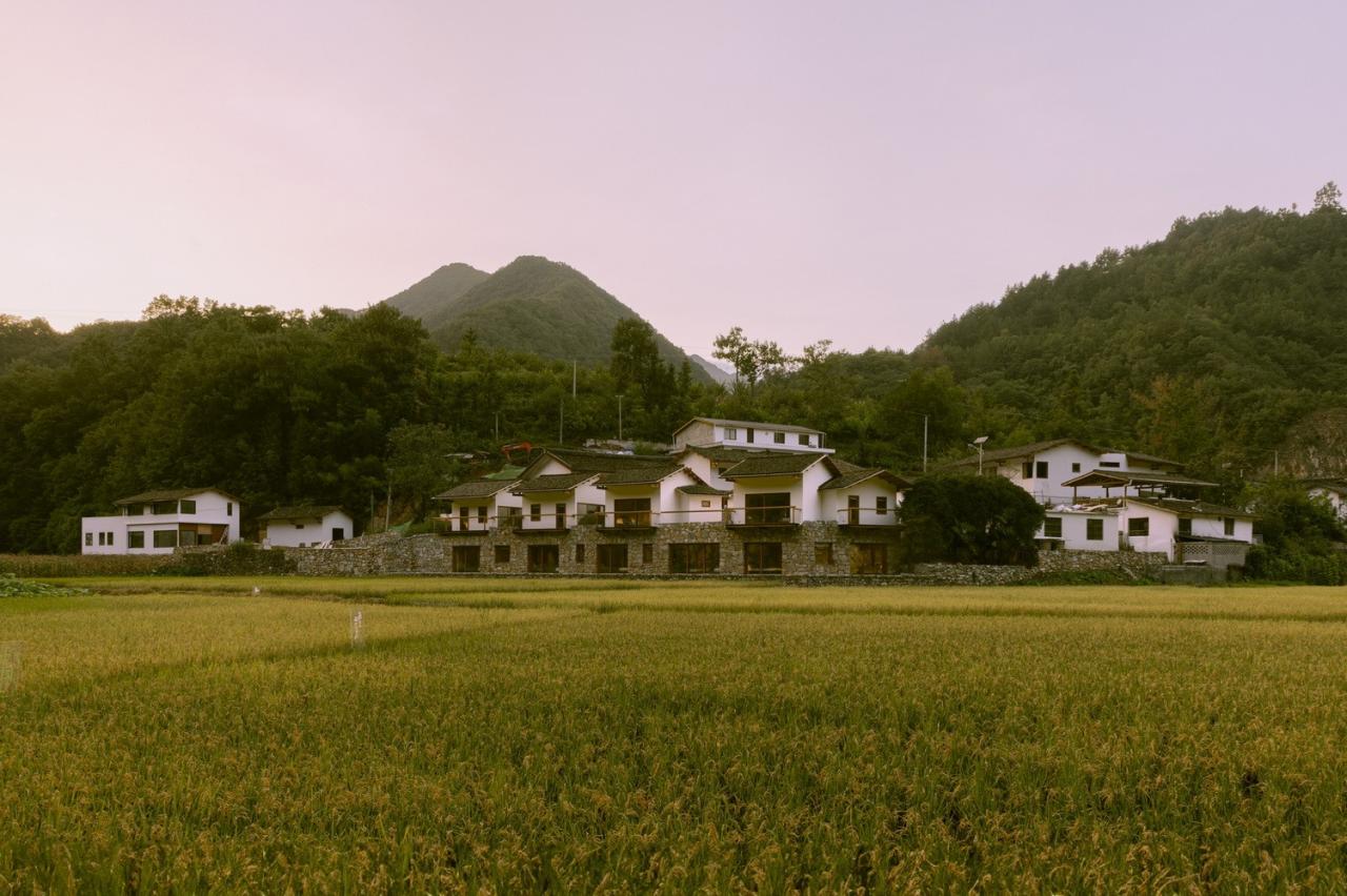 BIM建筑|鹿柴山集 精品民宿 / 小大建筑