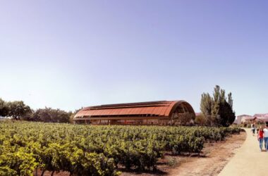 BIM建筑|福斯特为西班牙酒庄设计桶形拱形游客中心-BIM建筑网