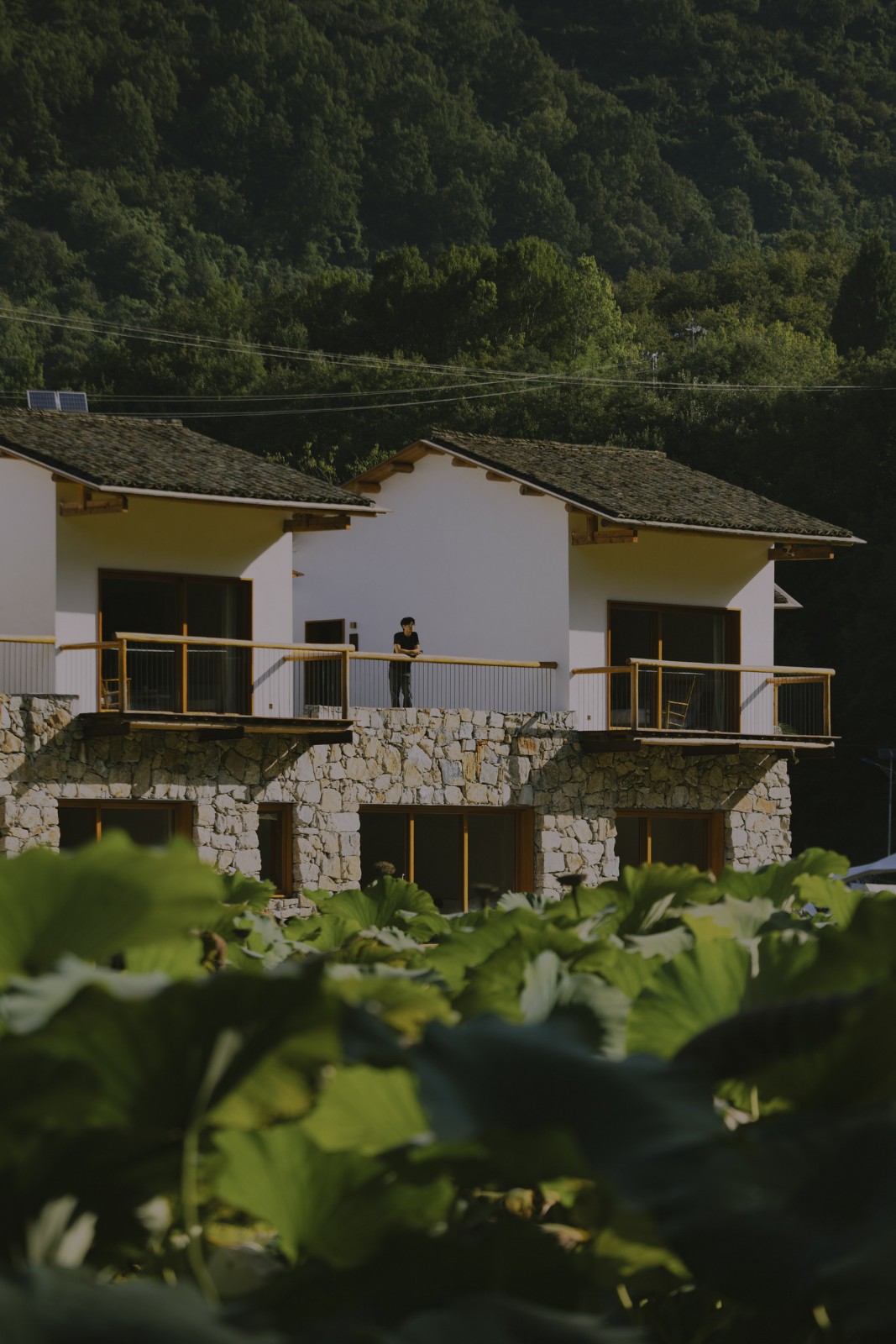 BIM建筑|鹿柴山集 精品民宿 / 小大建筑