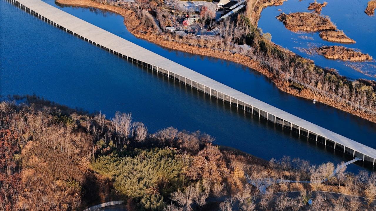 BIM建筑|在水艺术博物馆 / 石上纯也建筑事务所