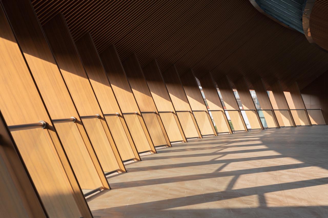 BIM建筑|成都彭州龙兴寺区域城市更新 / BIAD-ASA筑景工作室