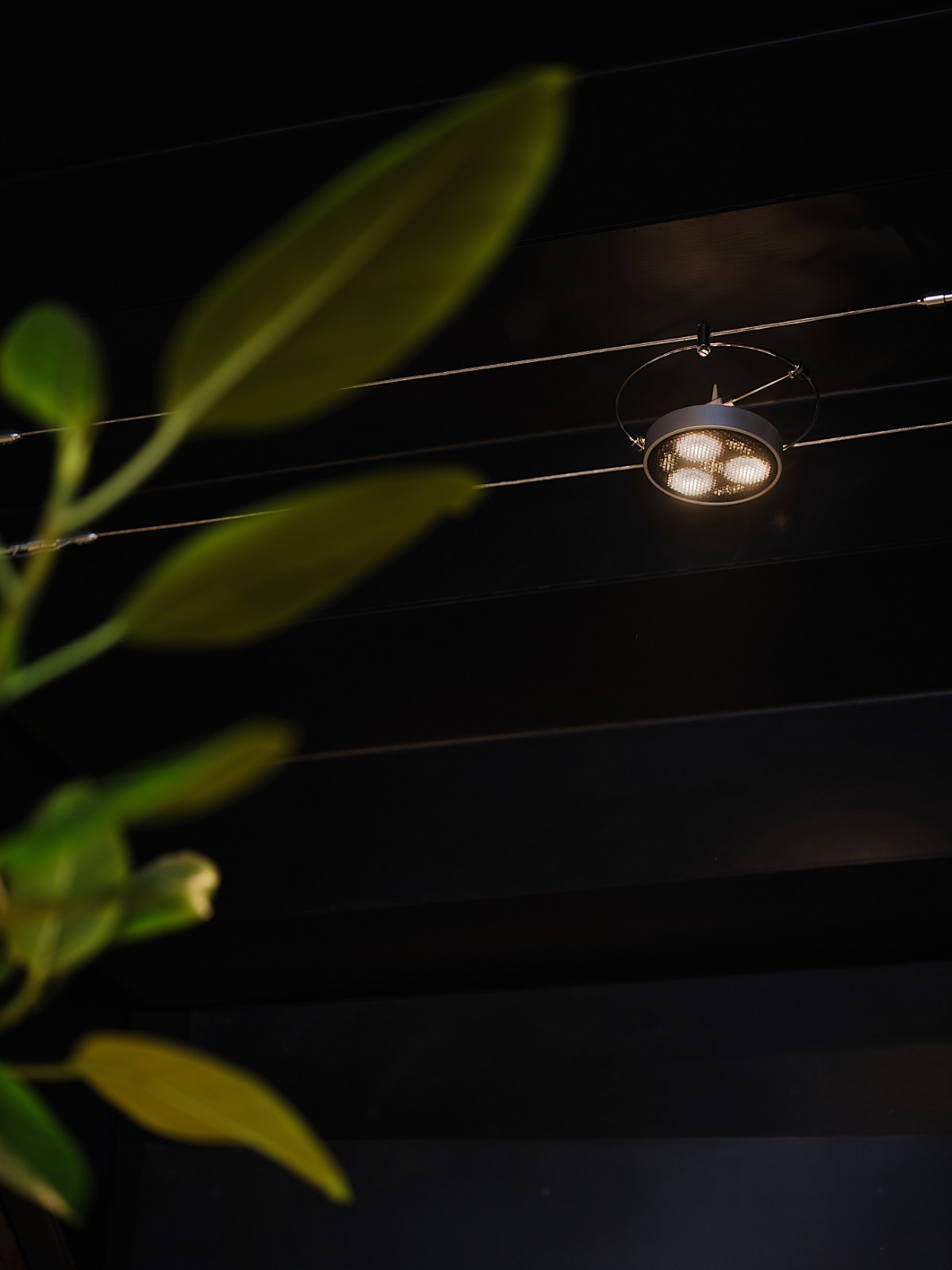 BIM建筑|「百年对谈」M stand-青岛银鱼巷旗舰店 / 平衡空间设计