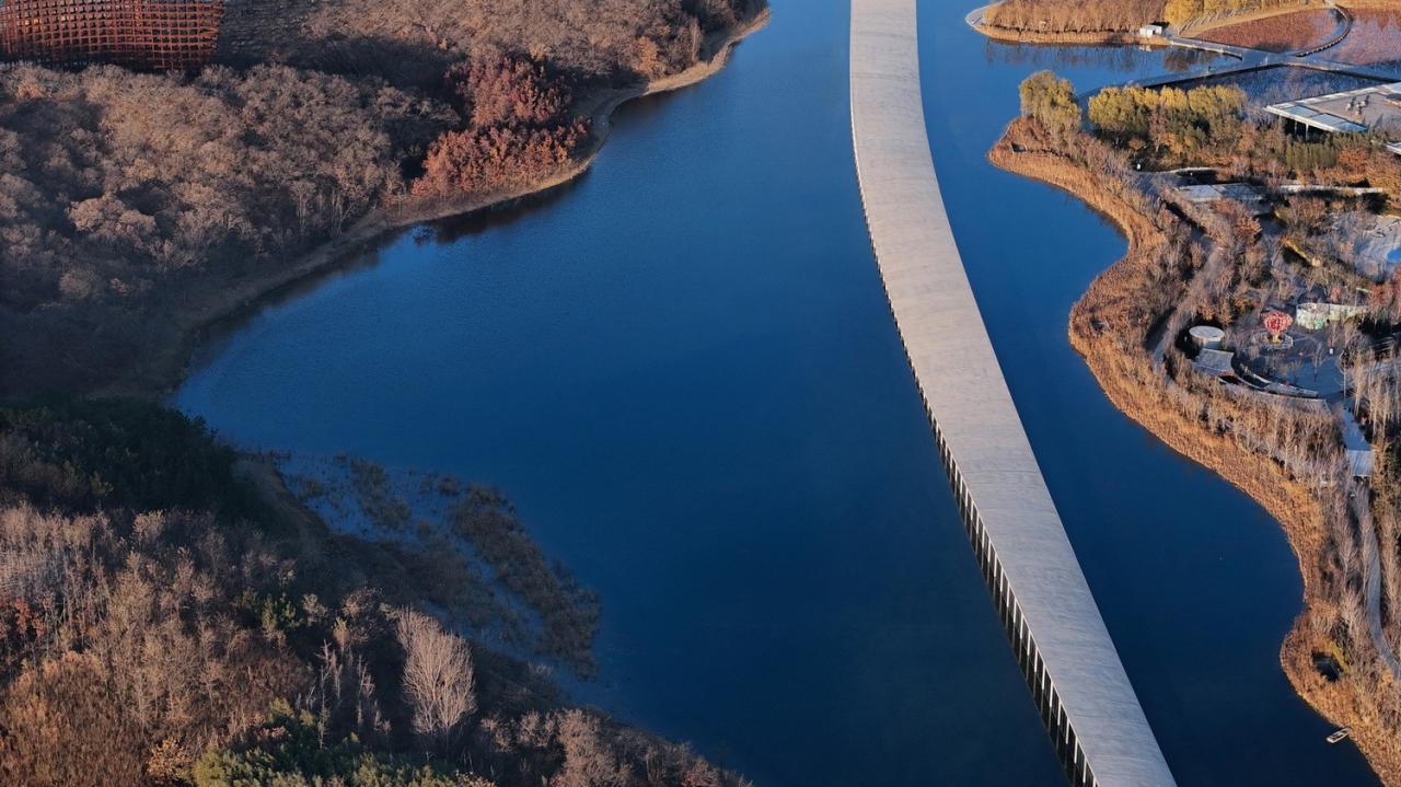 BIM建筑|在水艺术博物馆 / 石上纯也建筑事务所