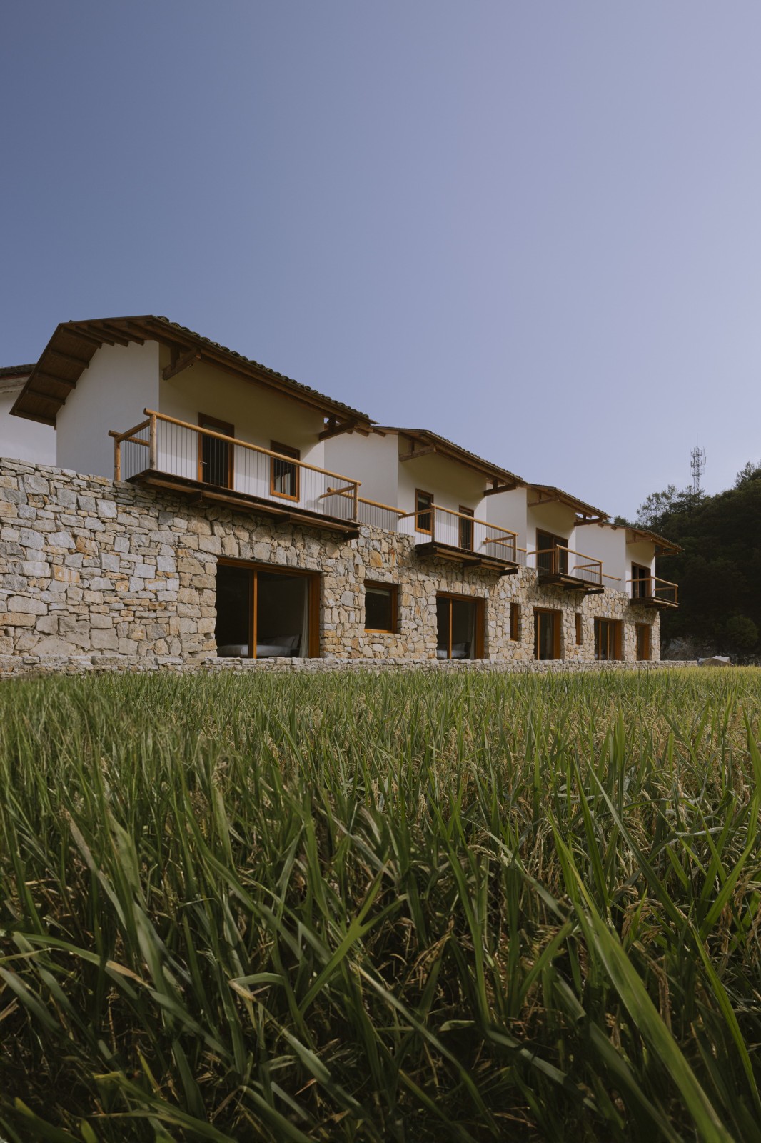 BIM建筑|鹿柴山集 精品民宿 / 小大建筑