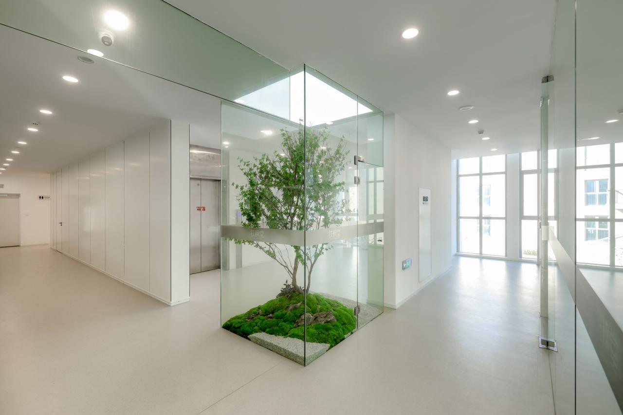 BIM建筑|铁枫堂研发大楼 / 形势建筑