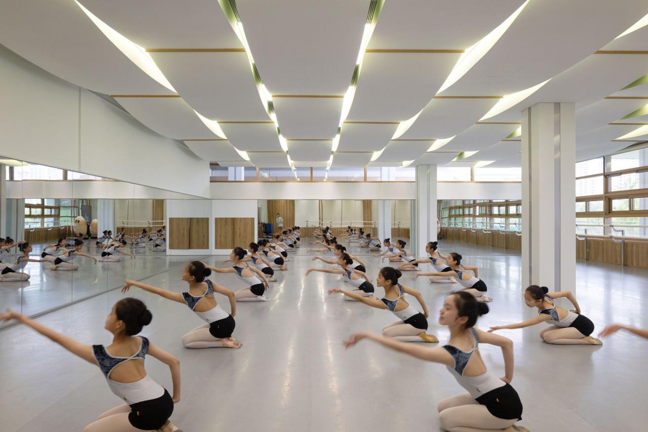 BIM建筑|浦东新区青少年活动中心和群众艺术馆 / 山水秀建筑事务所