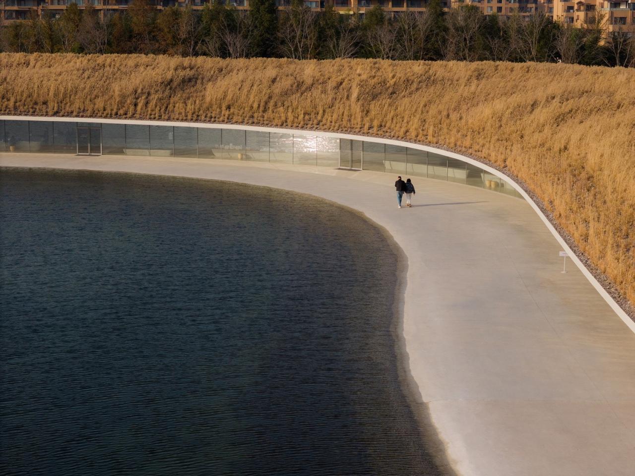 BIM建筑|在水艺术博物馆 / 石上纯也建筑事务所