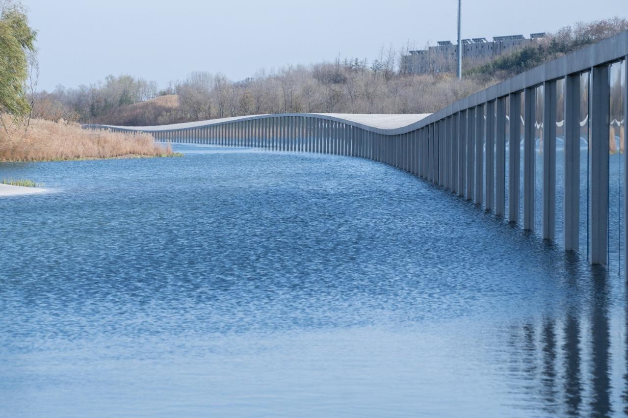 BIM建筑|在水艺术博物馆 / 石上纯也建筑事务所