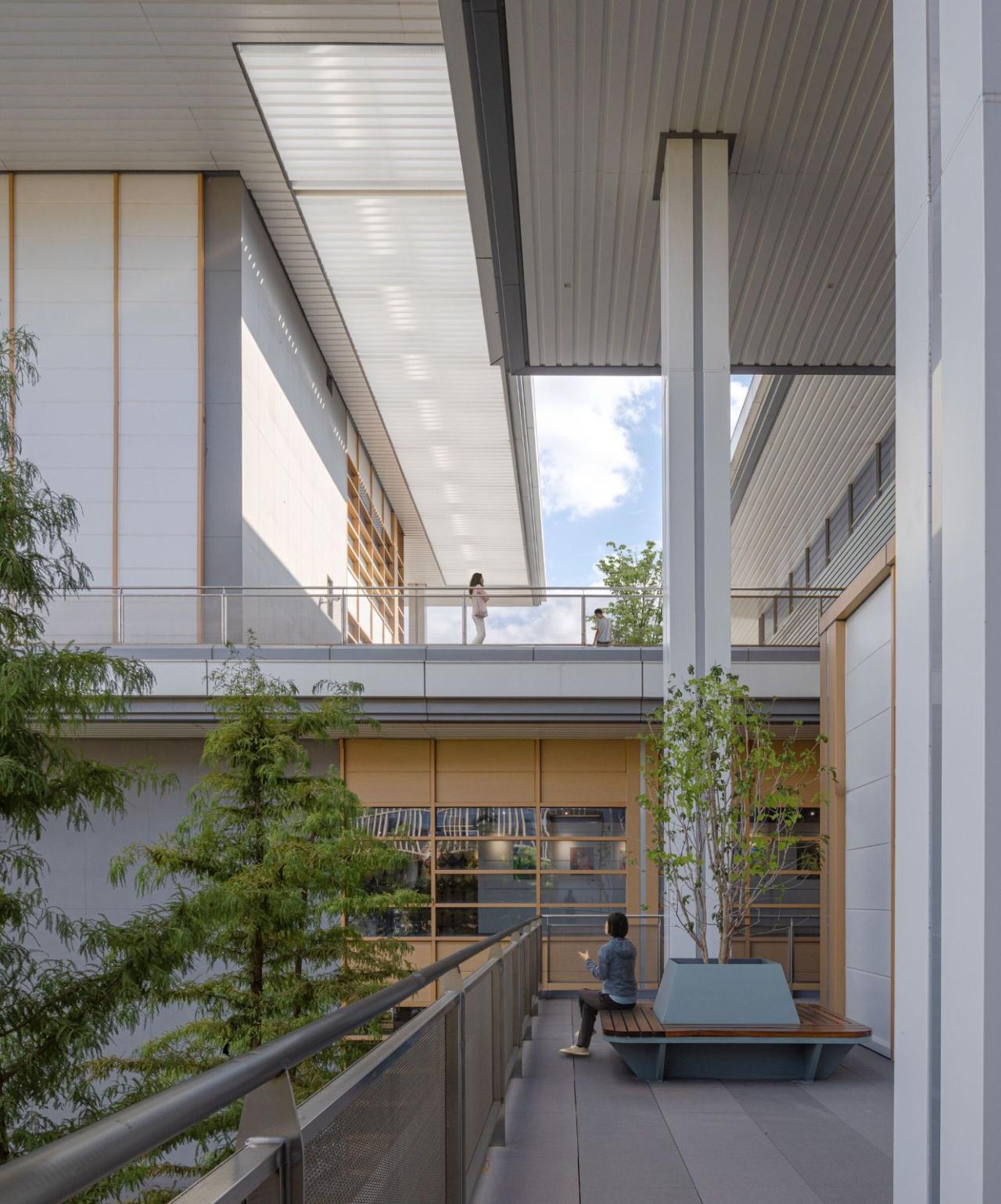 BIM建筑|浦东新区青少年活动中心和群众艺术馆 / 山水秀建筑事务所