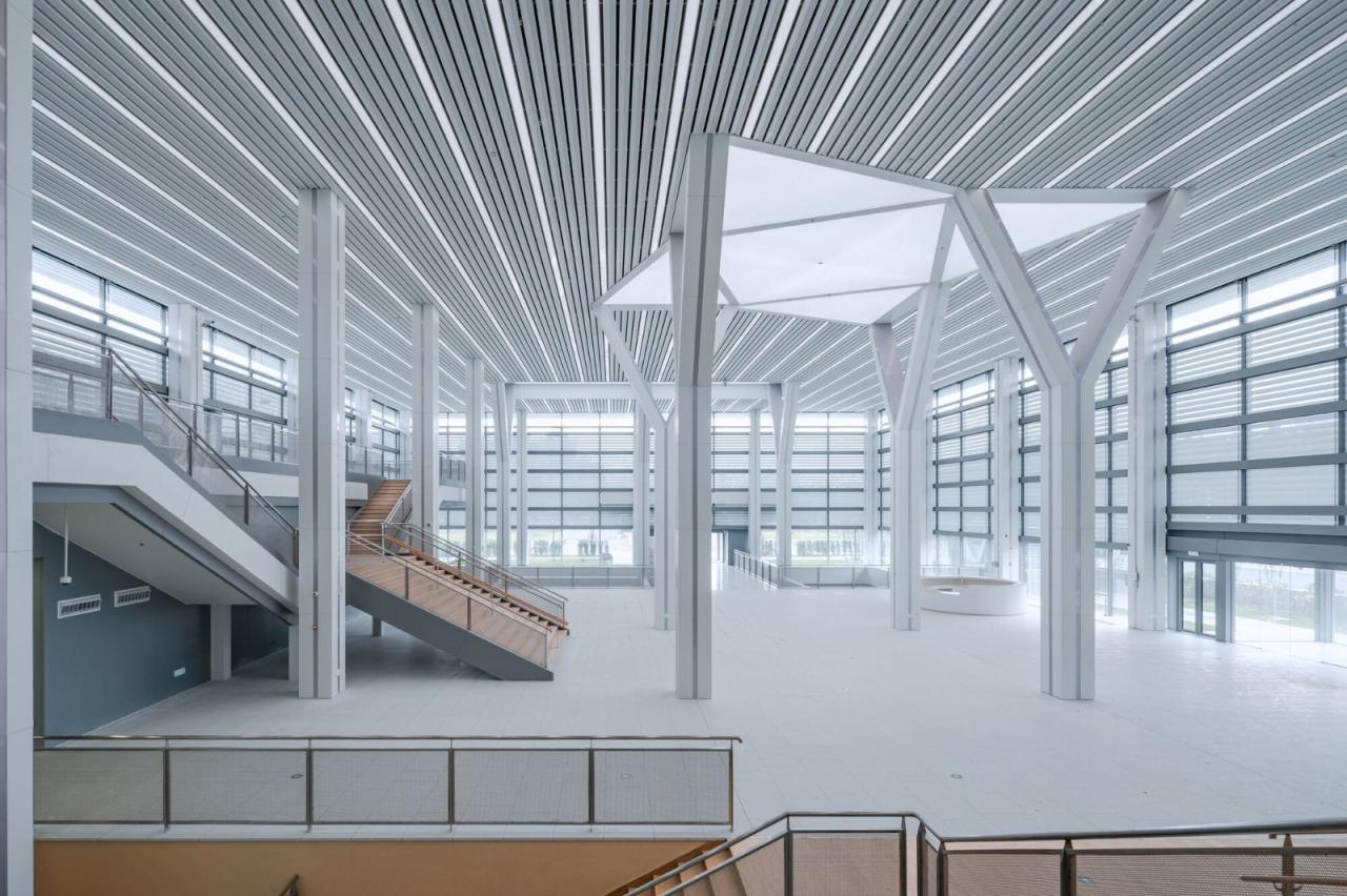 BIM建筑|浦东新区青少年活动中心和群众艺术馆 / 山水秀建筑事务所