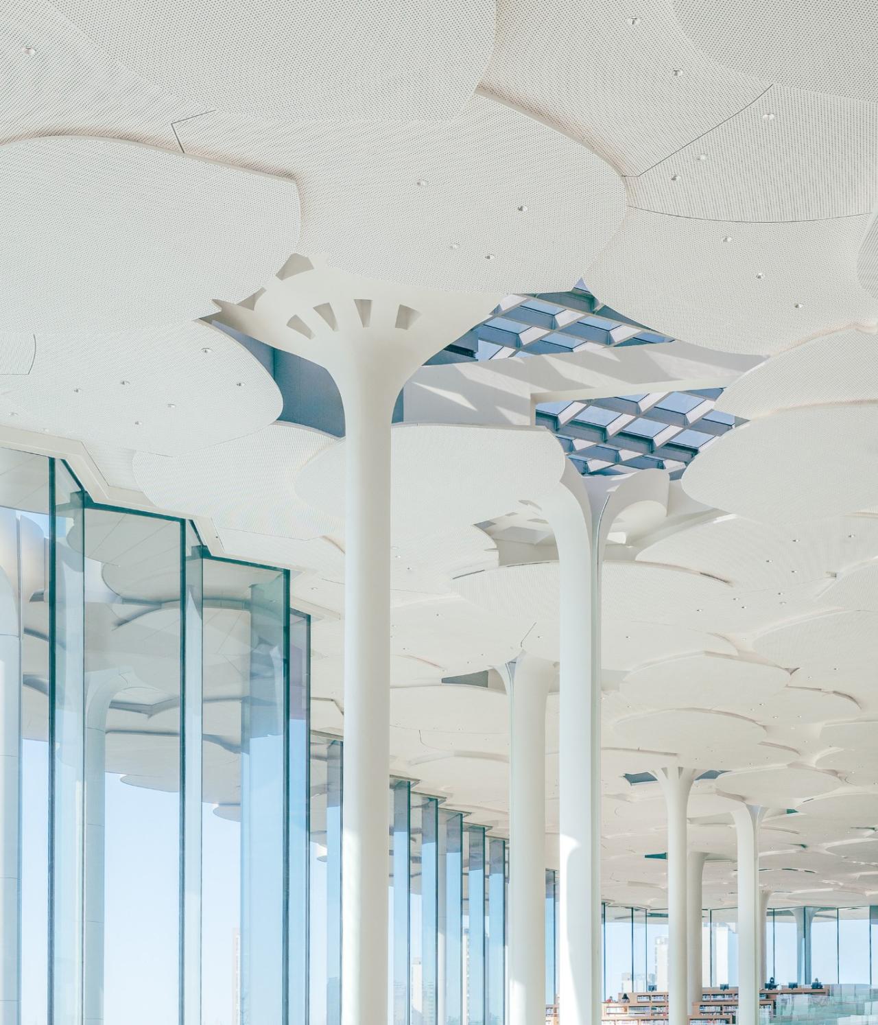 BIM建筑|北京城市图书馆，银杏树下书丘 / Snøhetta