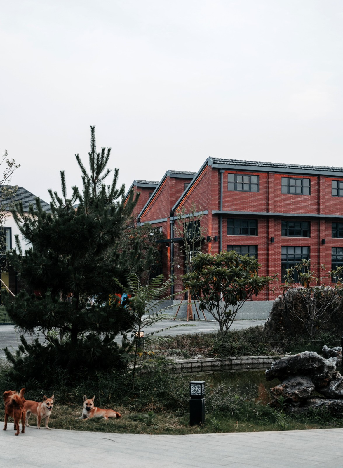 BIM建筑|丝路盛泽·数字文化产业园区示范区——盛泽坛丘缫丝厂改造 / 平介设计