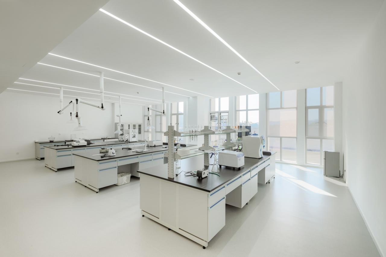 BIM建筑|铁枫堂研发大楼 / 形势建筑