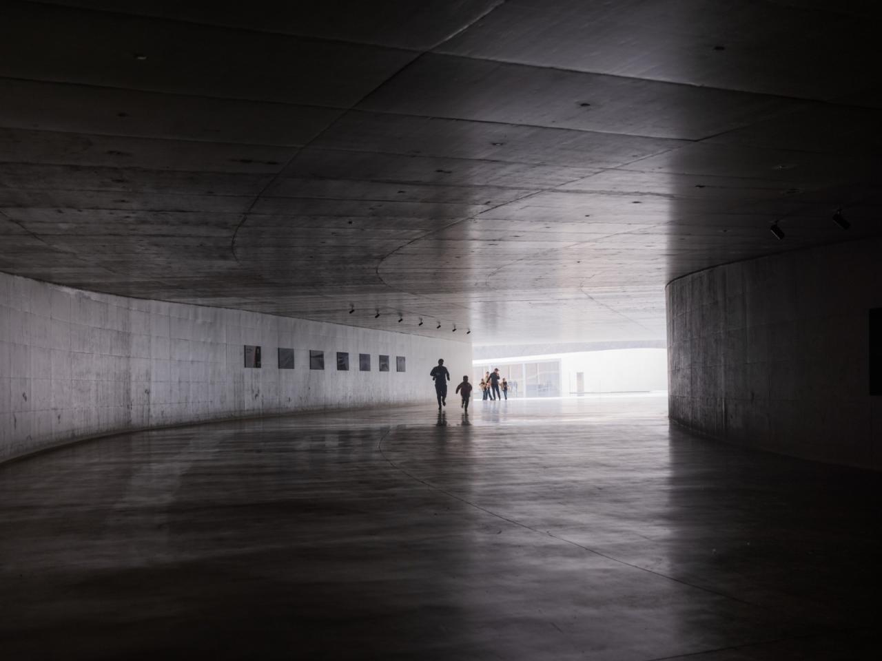 BIM建筑|在水艺术博物馆 / 石上纯也建筑事务所