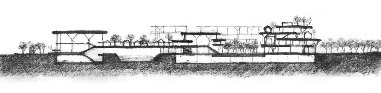 BIM建筑|浦东新区青少年活动中心和群众艺术馆 / 山水秀建筑事务所