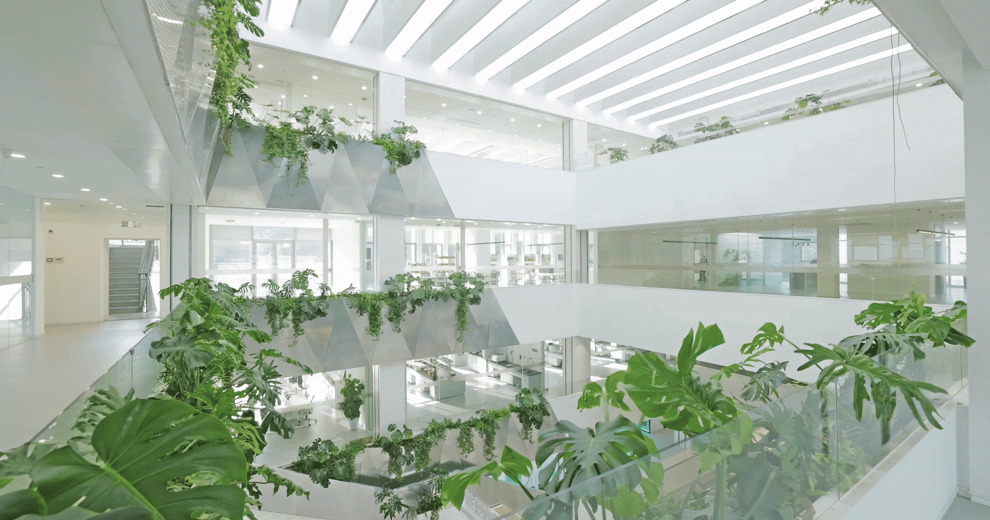 BIM建筑|铁枫堂研发大楼 / 形势建筑