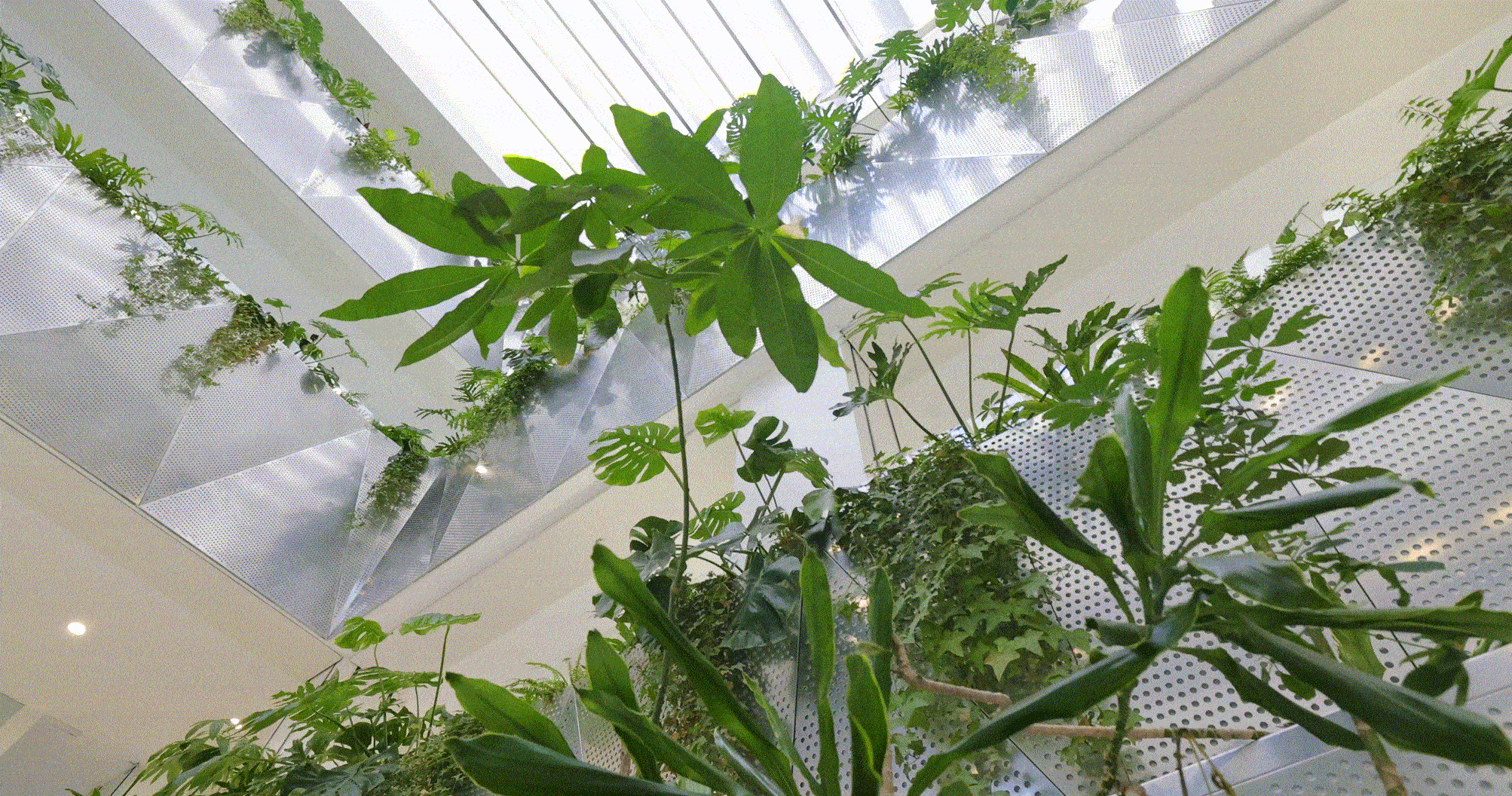 BIM建筑|铁枫堂研发大楼 / 形势建筑