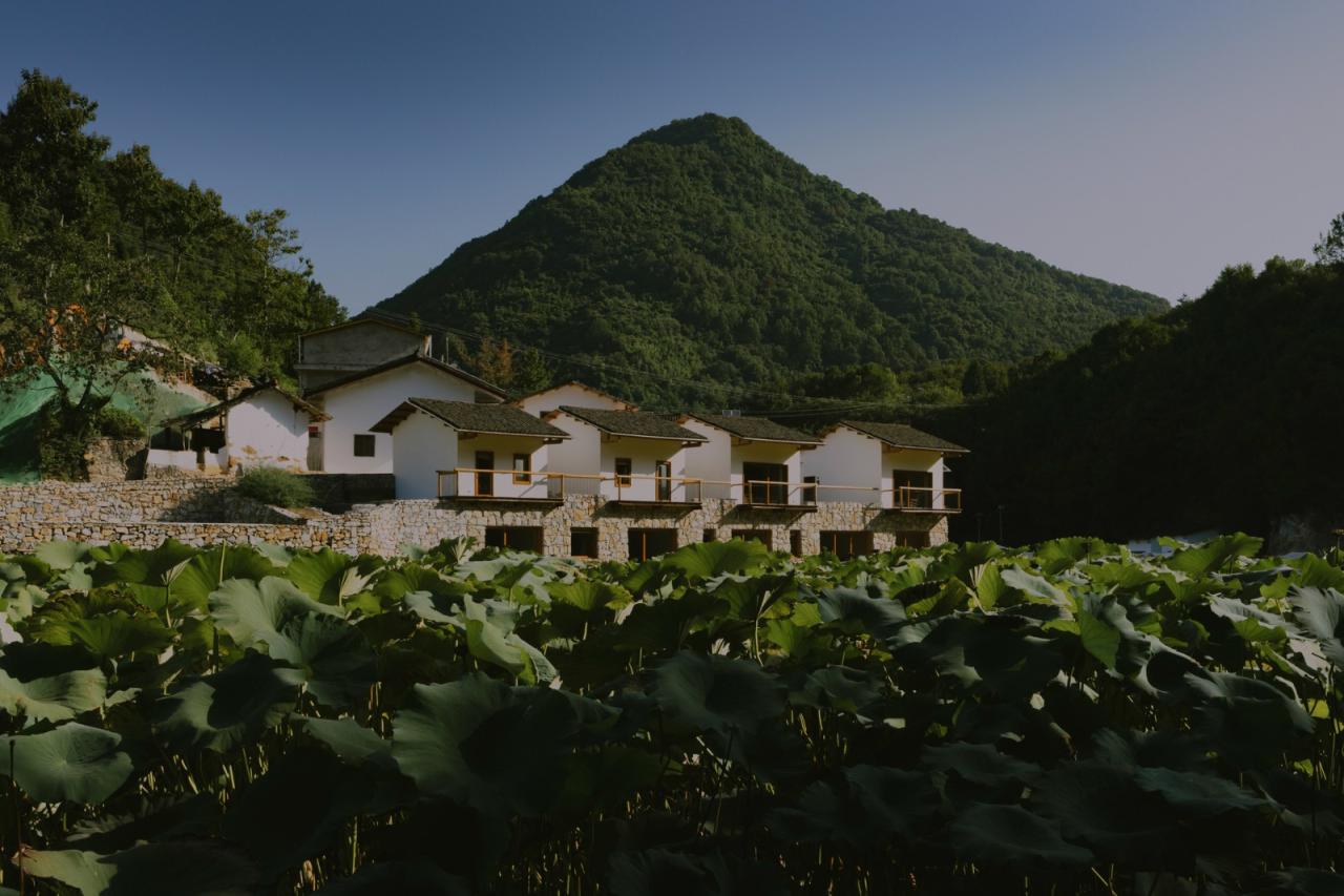 BIM建筑|鹿柴山集 精品民宿 / 小大建筑