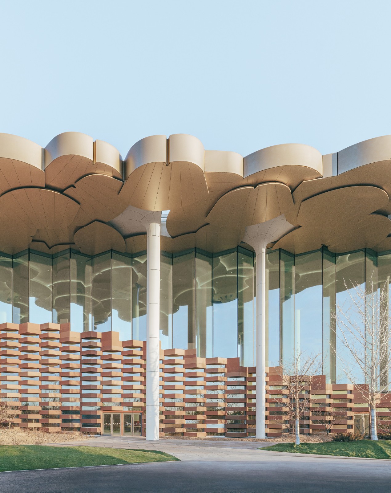 BIM建筑|北京城市图书馆，银杏树下书丘 / Snøhetta