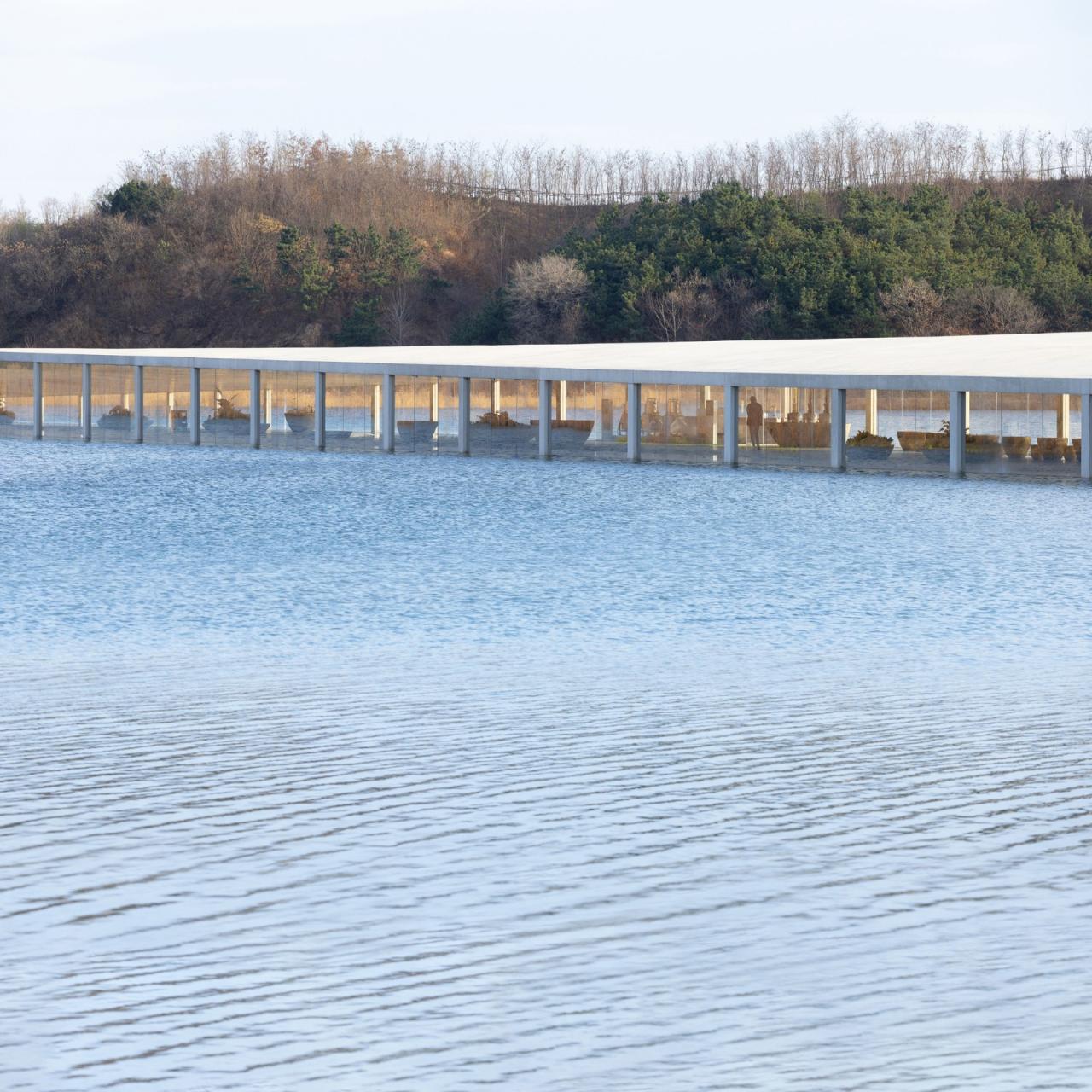 BIM建筑|在水艺术博物馆 / 石上纯也建筑事务所