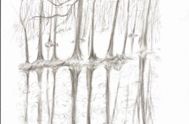 BIM建筑|桐乡濮院红旗漾杉林部落共享餐厅 / 上海严旸建筑设计工作室-BIM建筑网