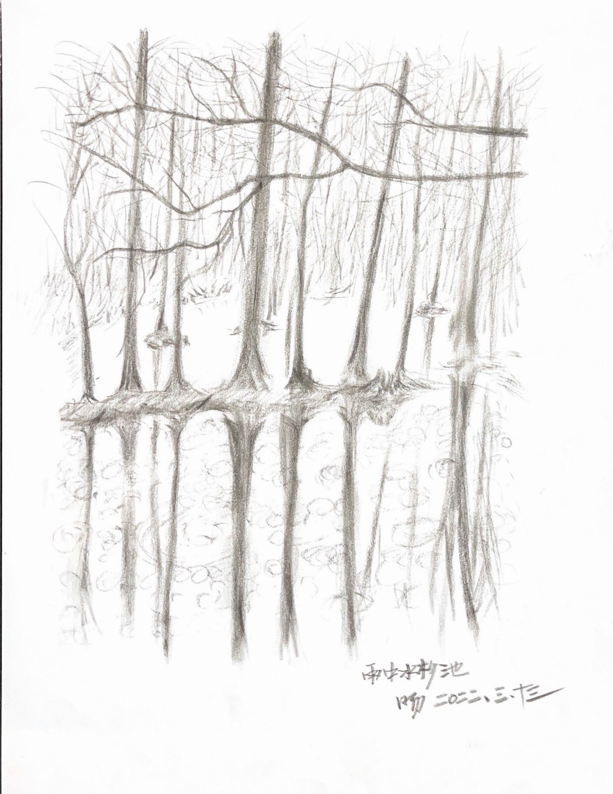 BIM建筑|桐乡濮院红旗漾杉林部落共享餐厅 / 上海严旸建筑设计工作室