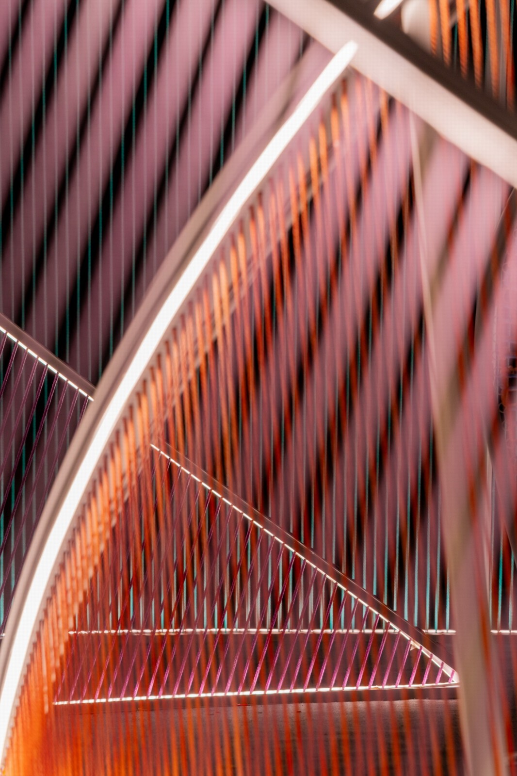 BIM建筑|深圳光影艺术季-屿 / MARS星球建筑