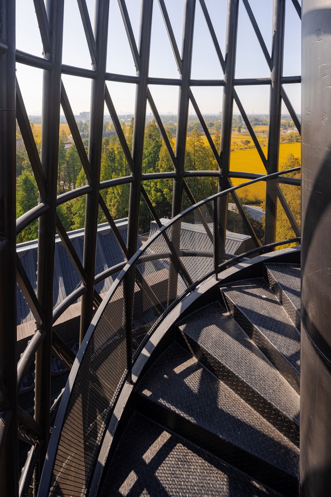 BIM建筑|桐乡濮院红旗漾杉林部落共享餐厅 / 上海严旸建筑设计工作室