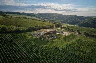 BIM建筑|阿莱什菲亚拉工作室设计绿色屋顶捷克酒厂-BIM建筑网