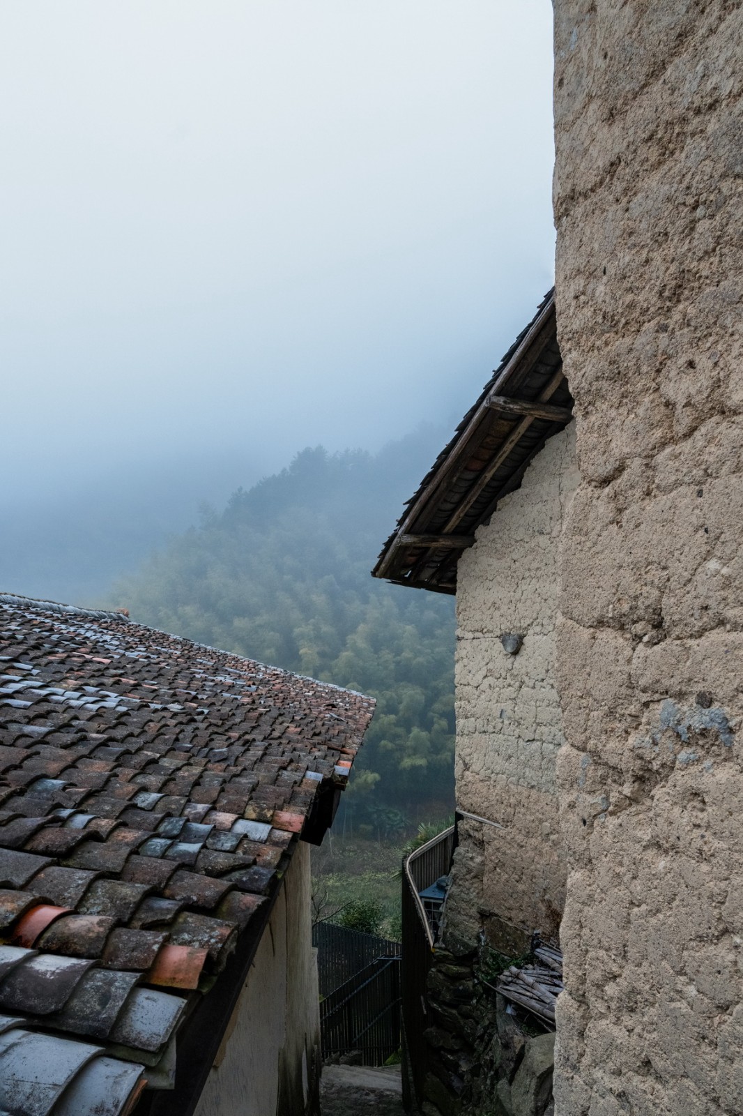 BIM建筑|崖居古村的新生：松阳•飞蔦集二期 / 孟凡浩-line+建筑事务所