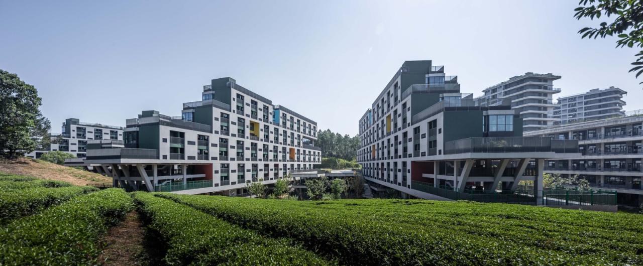 BIM建筑|景德镇艺术职业大学山谷学生公寓 / 清华大学建筑设计研究院