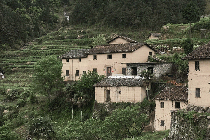 BIM建筑|崖居古村的新生：松阳•飞蔦集二期 / 孟凡浩-line+建筑事务所