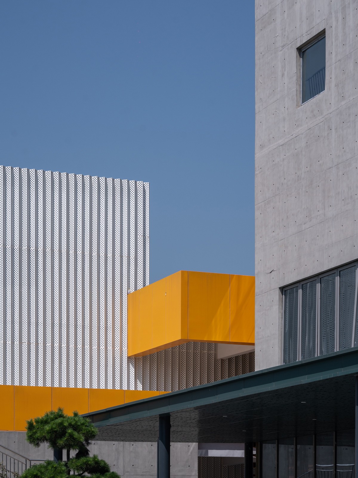 BIM建筑|海宁长安国际花卉产业园 / 森上建筑+朴筑建筑