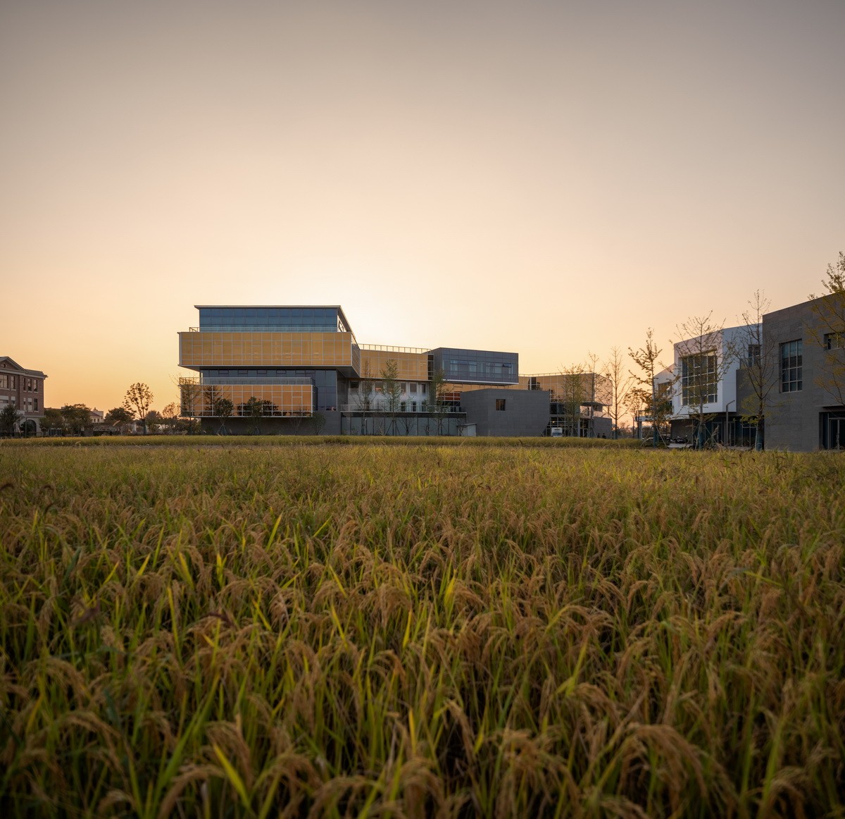 BIM建筑|海宁长安国际花卉产业园 / 森上建筑+朴筑建筑