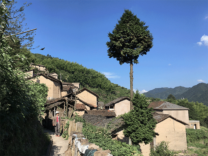 BIM建筑|崖居古村的新生：松阳•飞蔦集二期 / 孟凡浩-line+建筑事务所