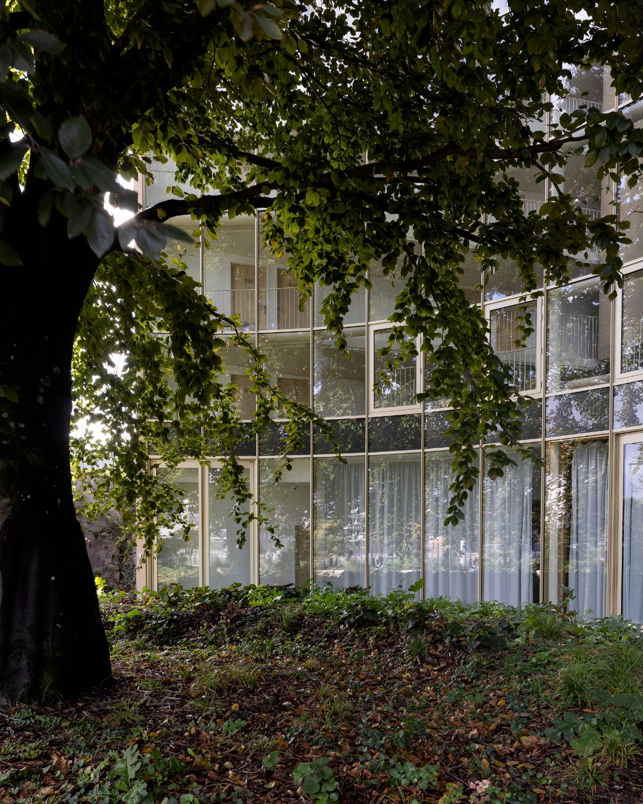 BIM建筑|埃及之家学生宿舍 / Dar Arafa Architecture + SAM architecture