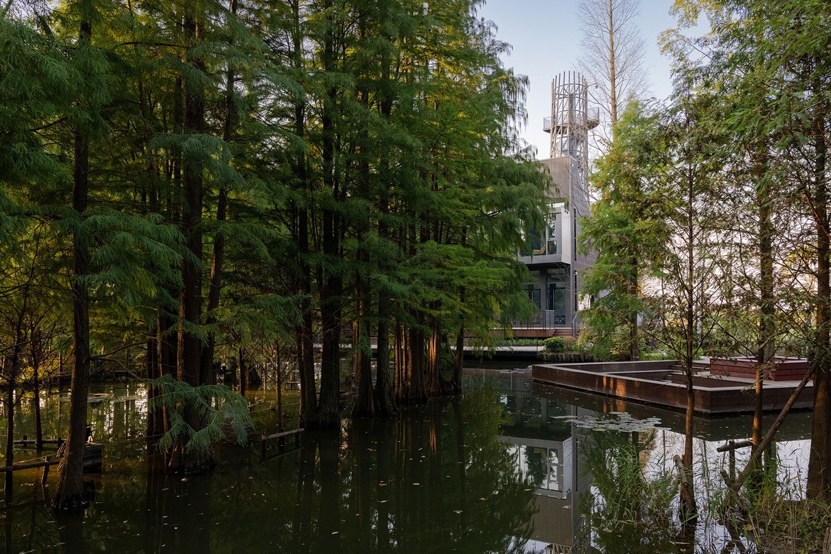 BIM建筑|桐乡濮院红旗漾杉林部落共享餐厅 / 上海严旸建筑设计工作室