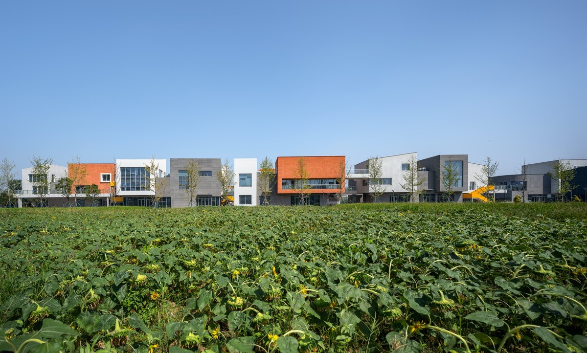 BIM建筑|海宁长安国际花卉产业园 / 森上建筑+朴筑建筑