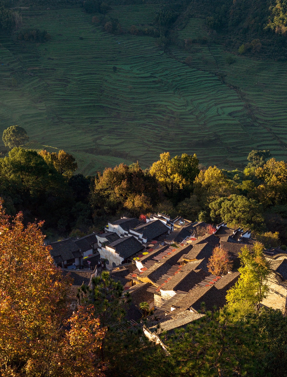 BIM建筑|村庄文化：一砖一瓦，寻回乡愁，婺源篁岭营造记 / 婺源县村庄文化传媒有限公司