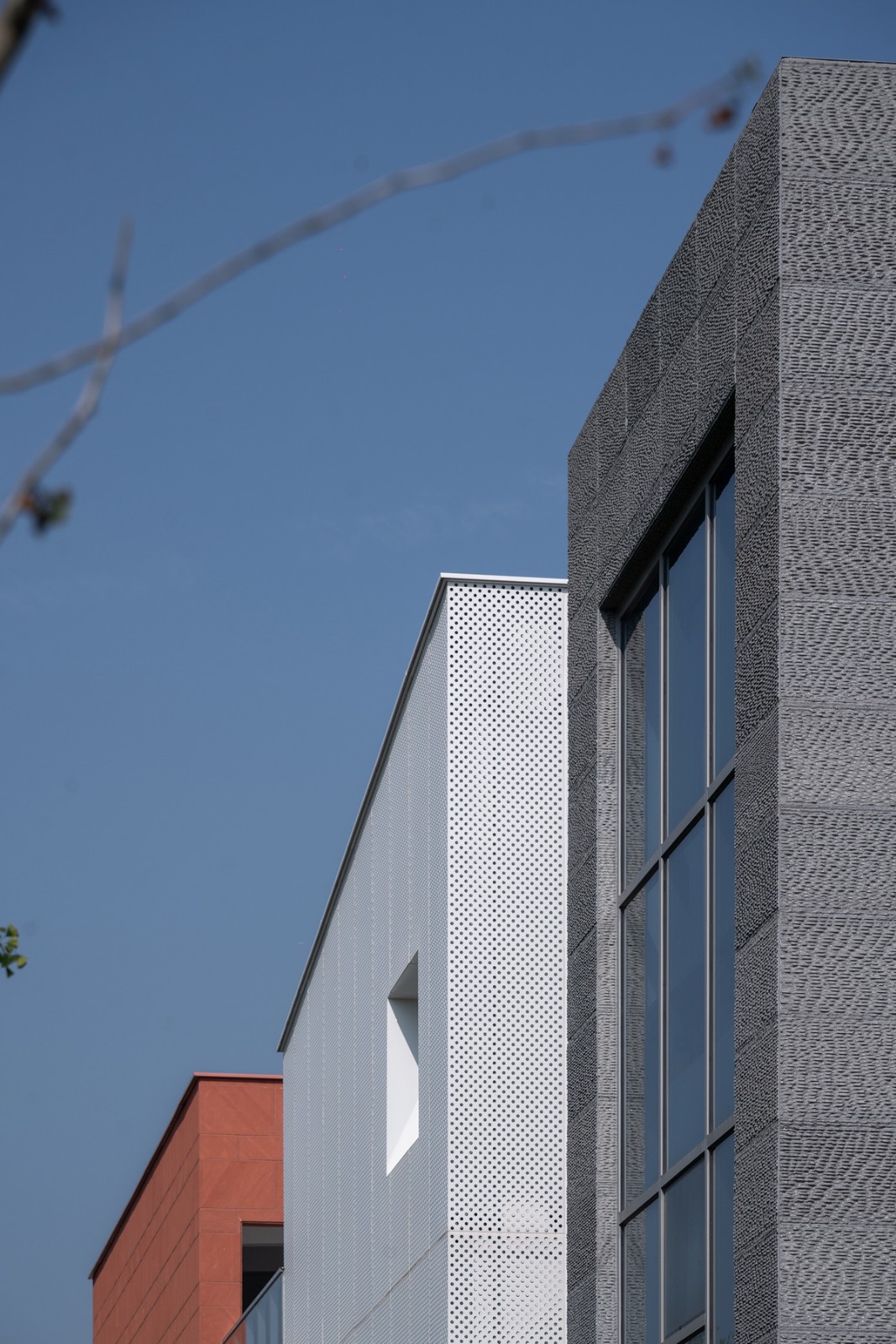 BIM建筑|海宁长安国际花卉产业园 / 森上建筑+朴筑建筑