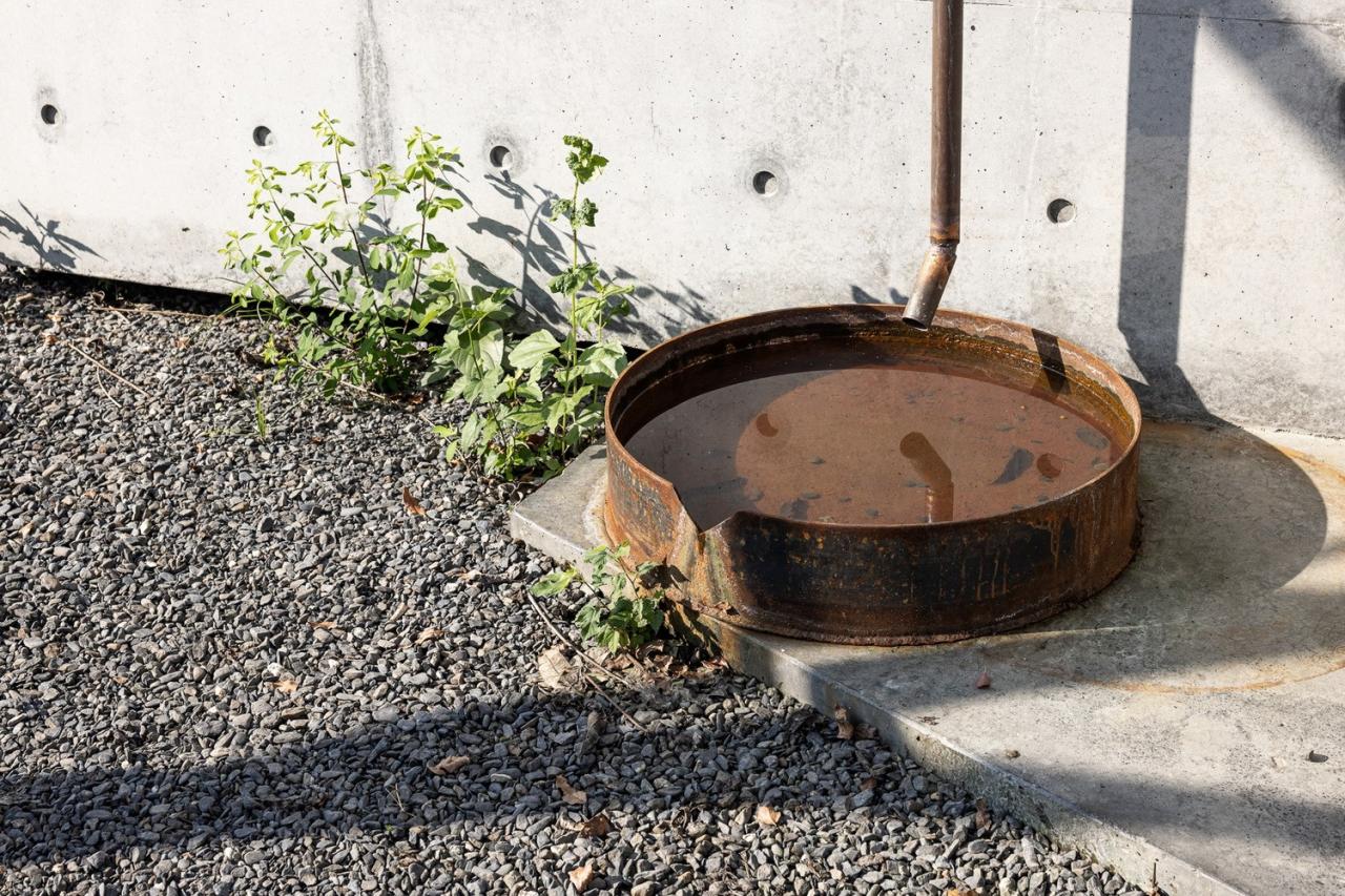 BIM建筑|入口亭楼 / Metrics Architecture Studio