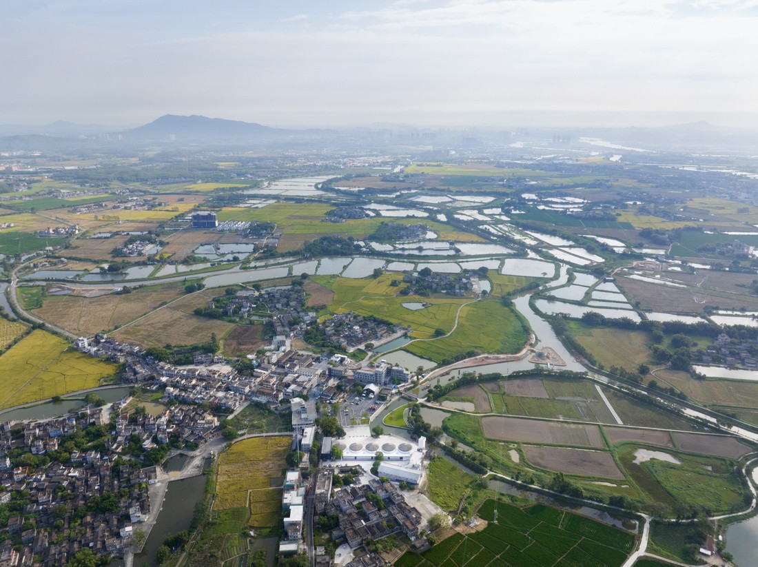 BIM建筑|先锋天下粮仓书店 / 东南大学建筑学院+艺合境建筑设计