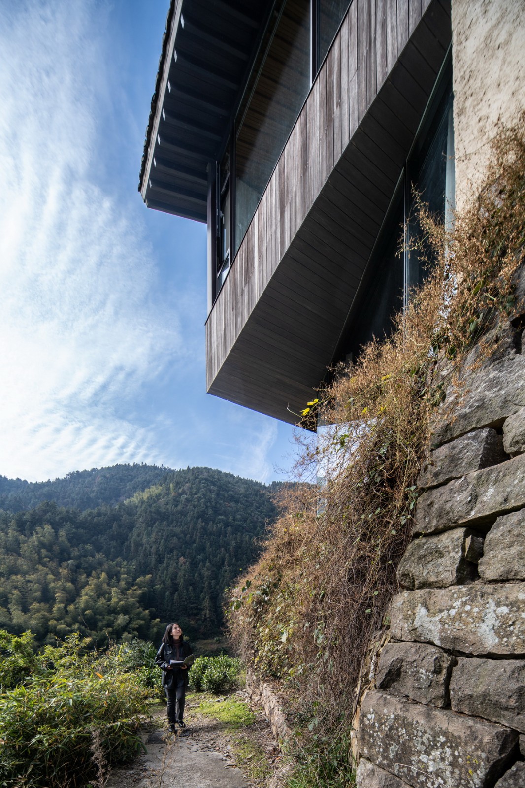 BIM建筑|崖居古村的新生：松阳•飞蔦集二期 / 孟凡浩-line+建筑事务所